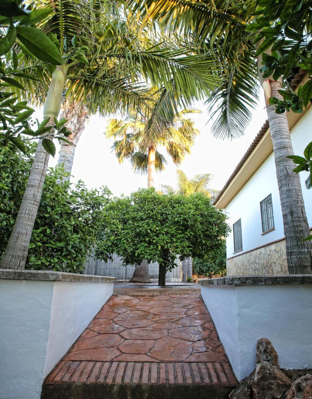 Casa Rural Tipica Andaluza, Wifi,Piscina, Barbacoa, Aire Acondicionado, 5Min Centros Alhaurín el Grande Eksteriør bilde
