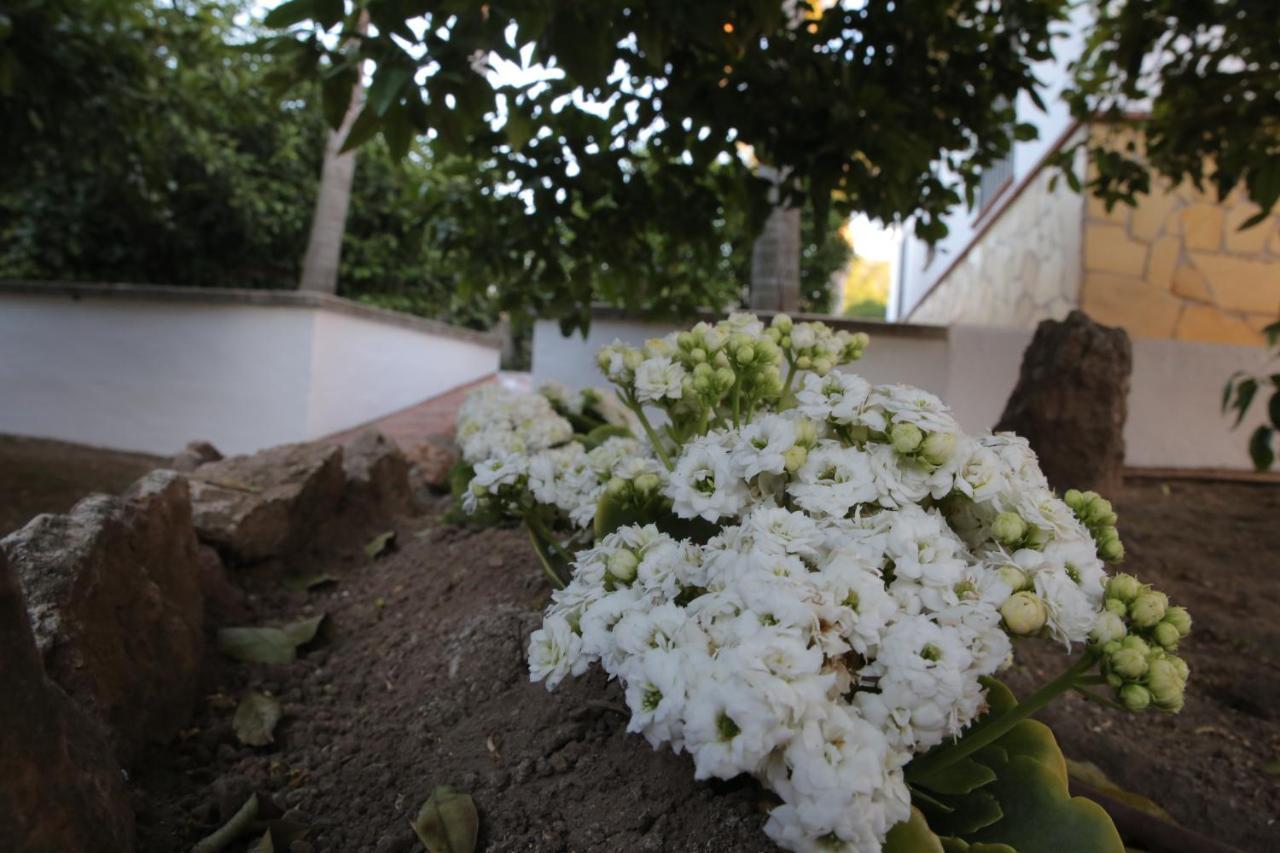 Casa Rural Tipica Andaluza, Wifi,Piscina, Barbacoa, Aire Acondicionado, 5Min Centros Alhaurín el Grande Eksteriør bilde