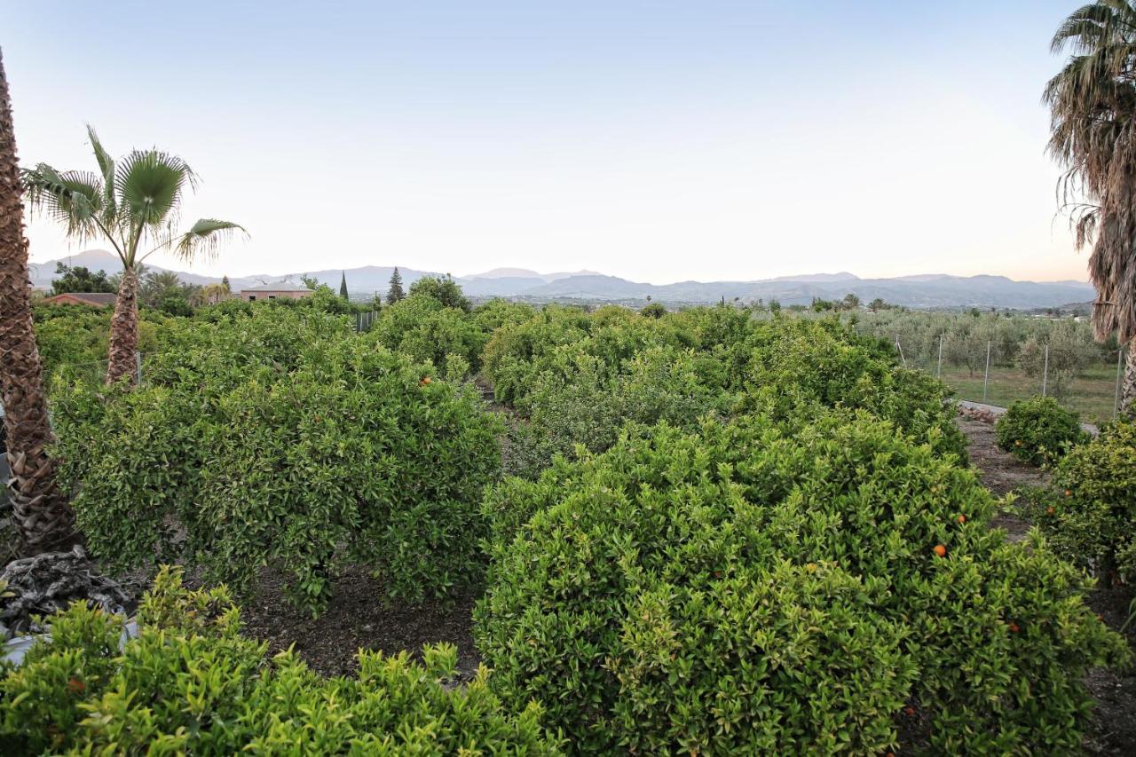 Casa Rural Tipica Andaluza, Wifi,Piscina, Barbacoa, Aire Acondicionado, 5Min Centros Alhaurín el Grande Eksteriør bilde